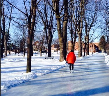 Image illustrant l'article: Le parc Salaberry sera rafraîchi au coût de 1,4 M$