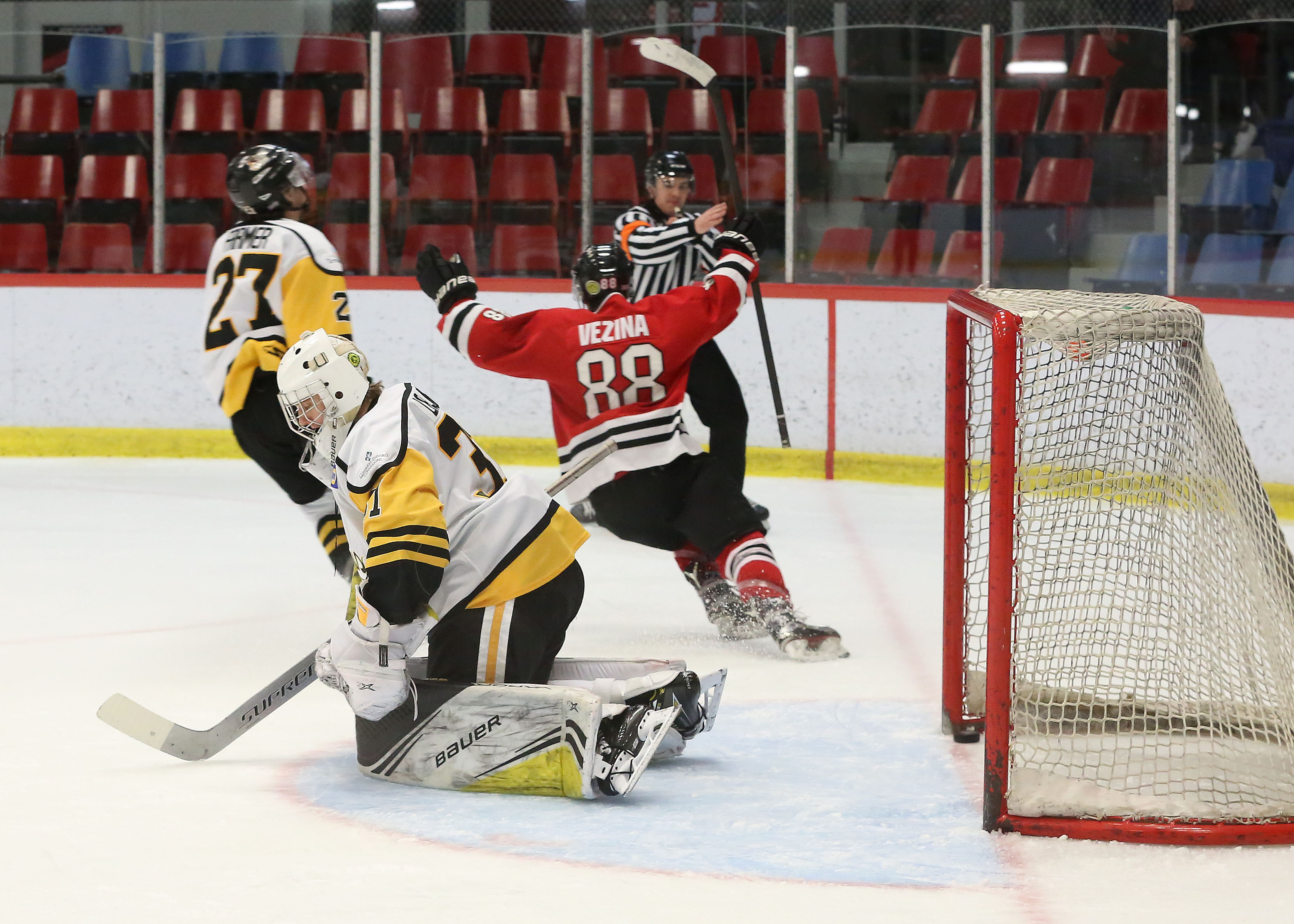 Ianniciello et Vézina domptent les méchants Cobras