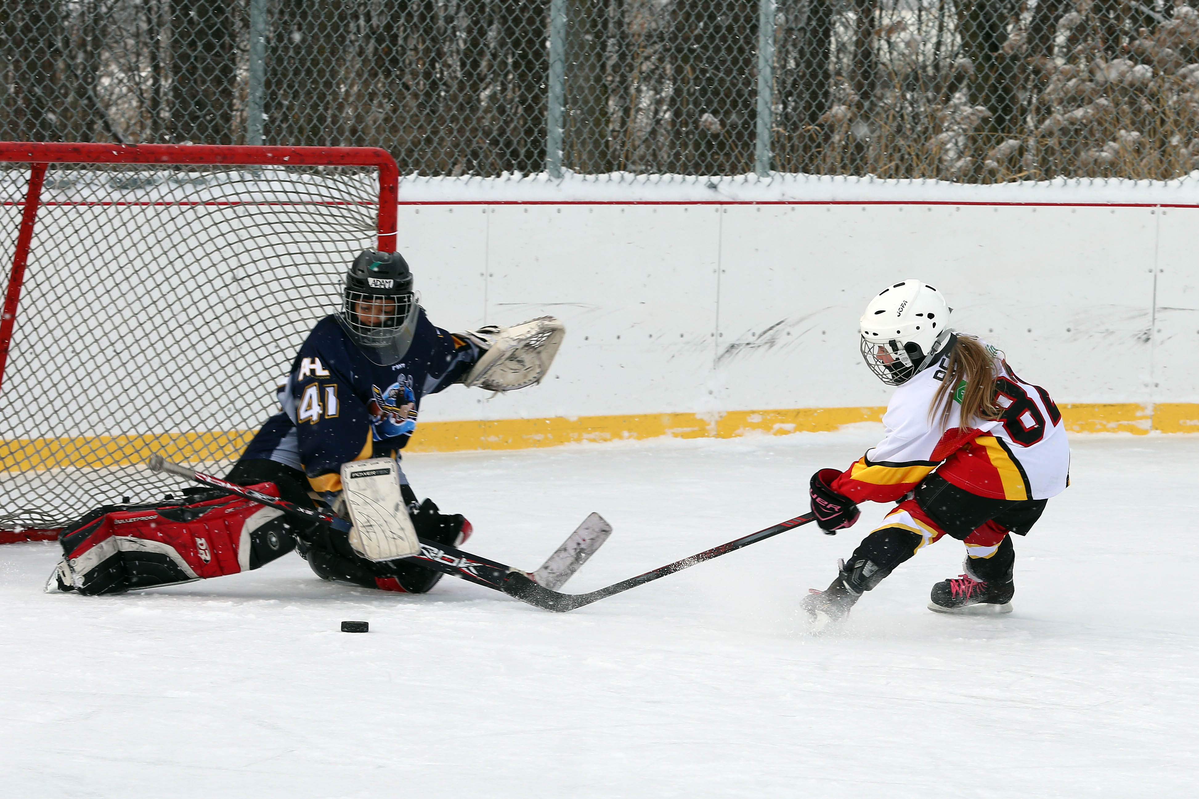 Les Seigneurs de Soulanges parmi les vainqueurs