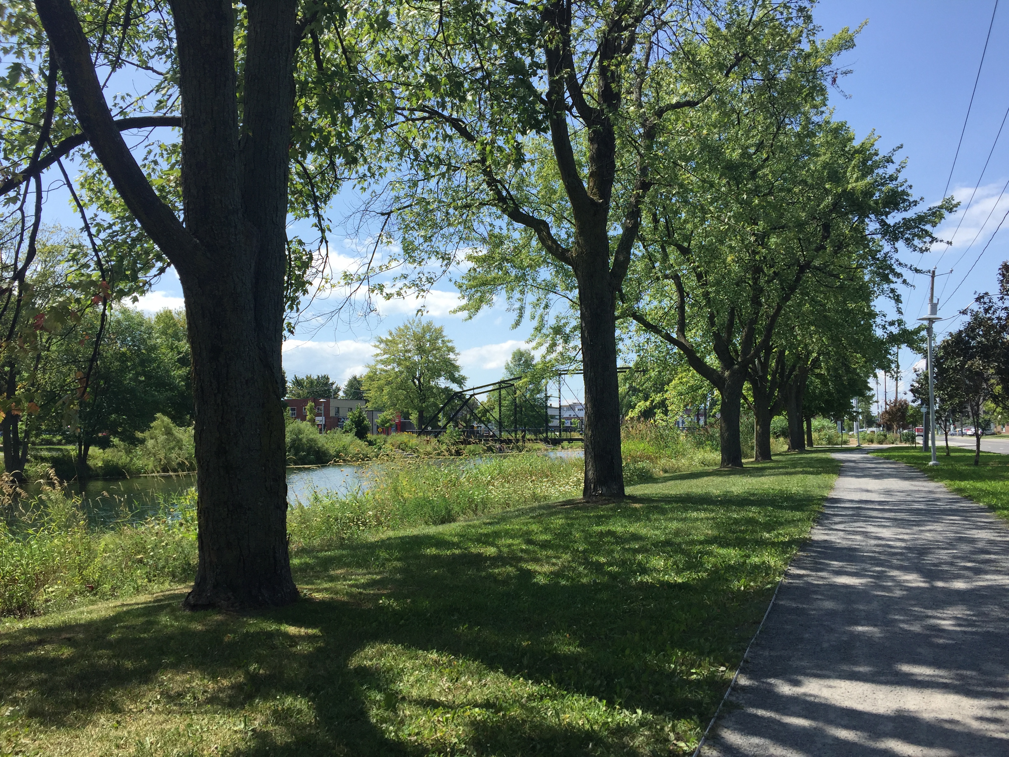 Image illustrant l'article: Réouverture partielle des parcs et espaces verts