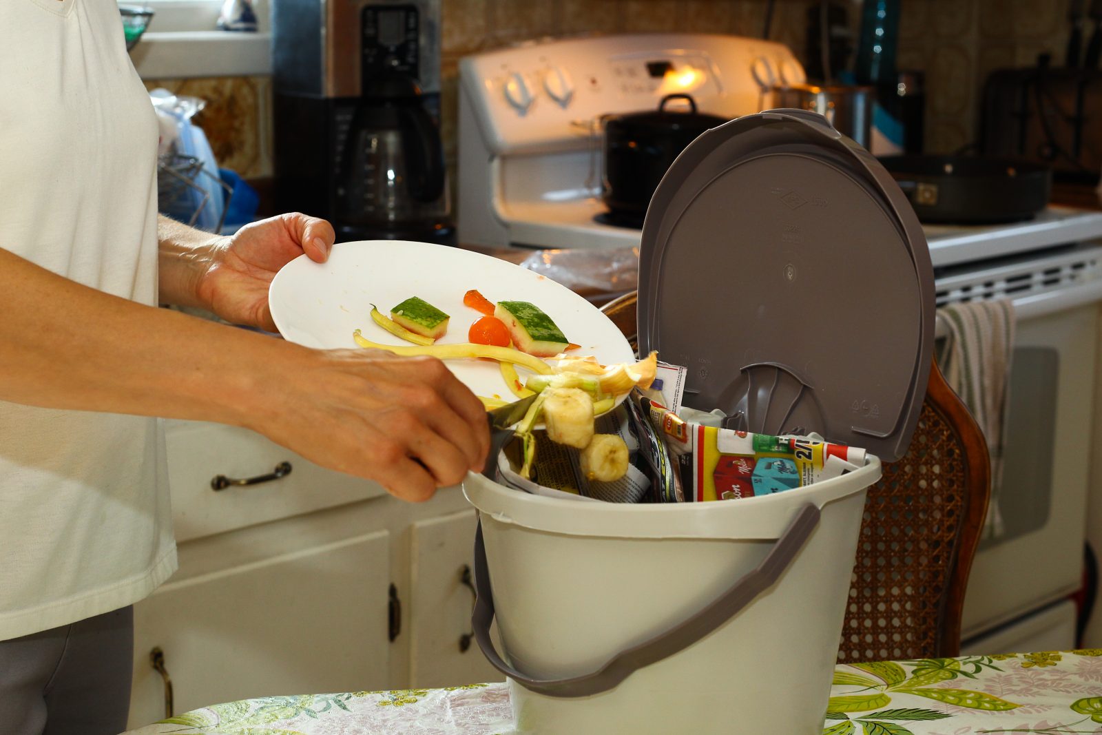 Image illustrant l'article: Conseil pour un compost de qualité