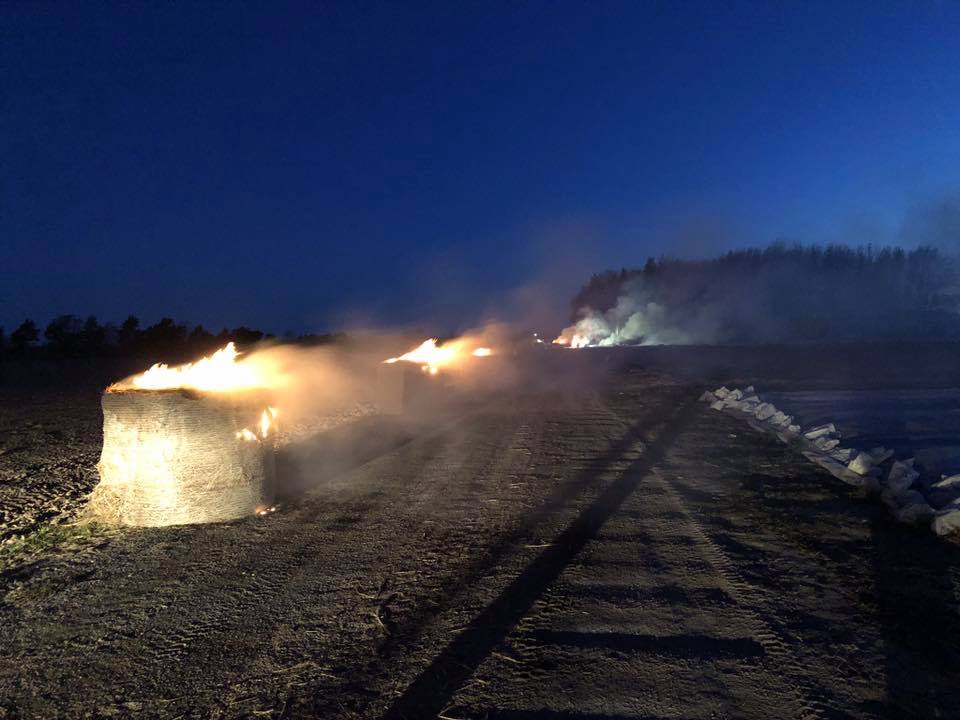 Image illustrant l'article: De la fumée pour empêcher les fraisiers de geler