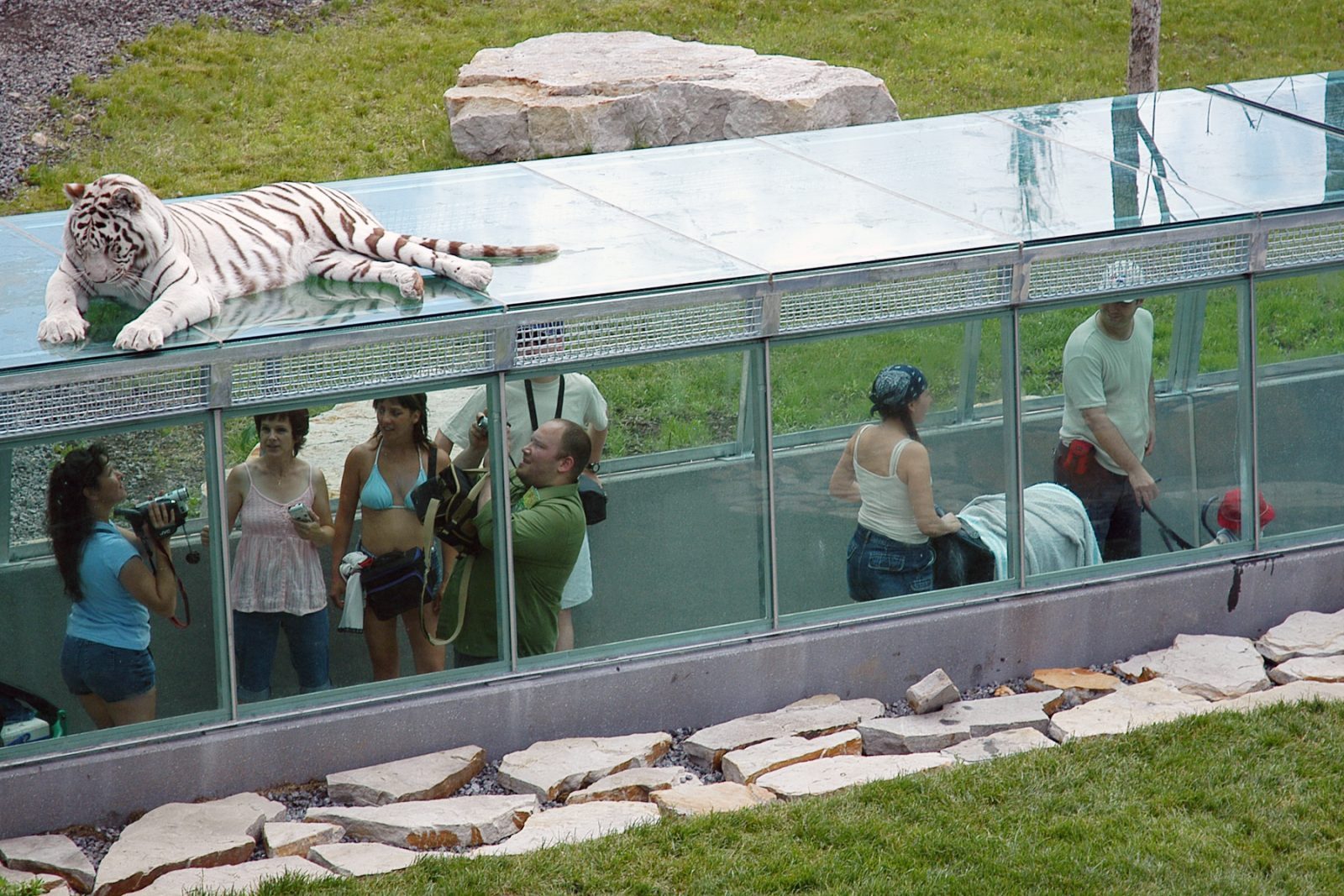 Une visite au Parc Safari dans le confort de son foyer