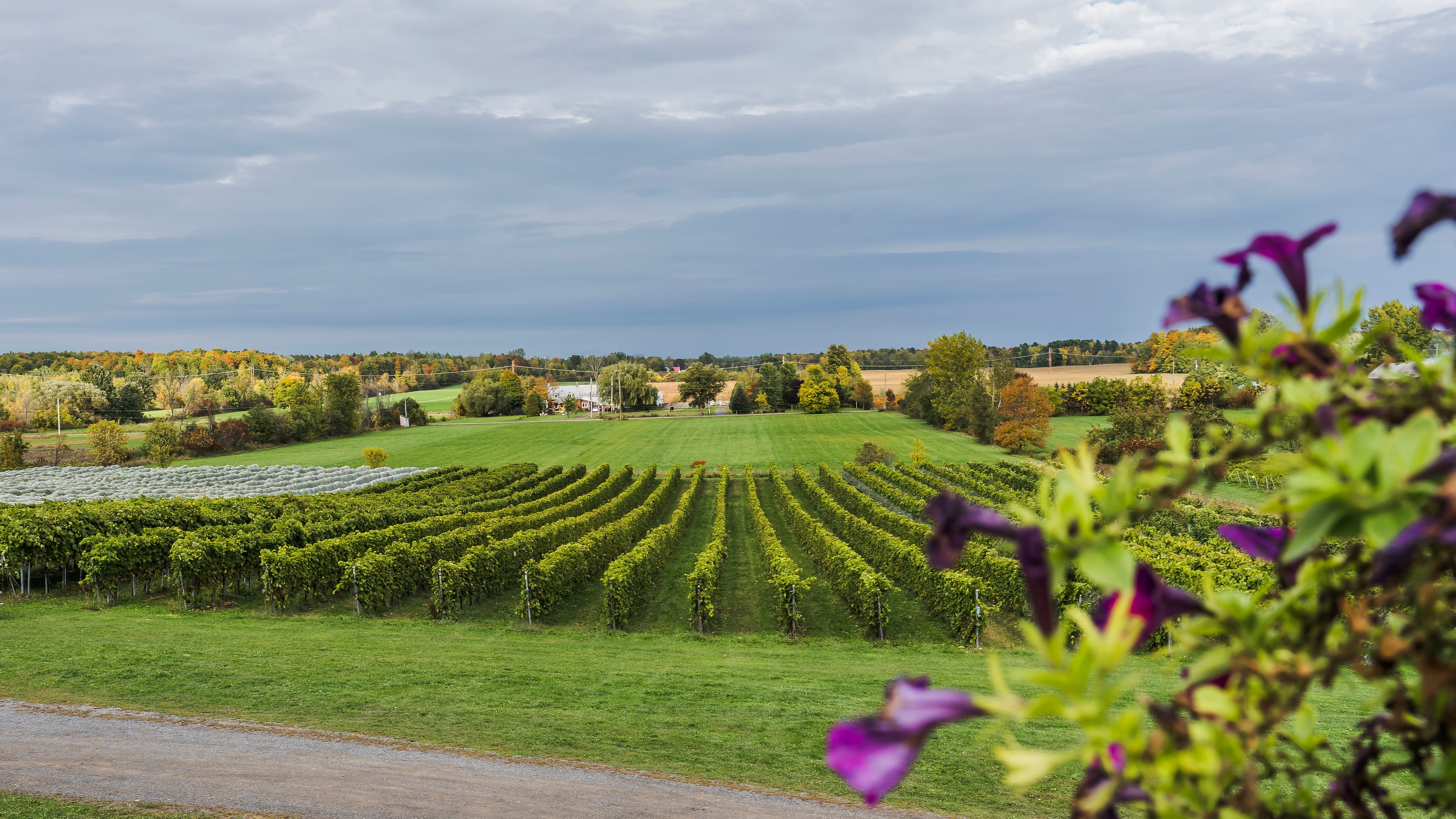 Le Circuit du paysan, près de 200 kilomètres de saveurs