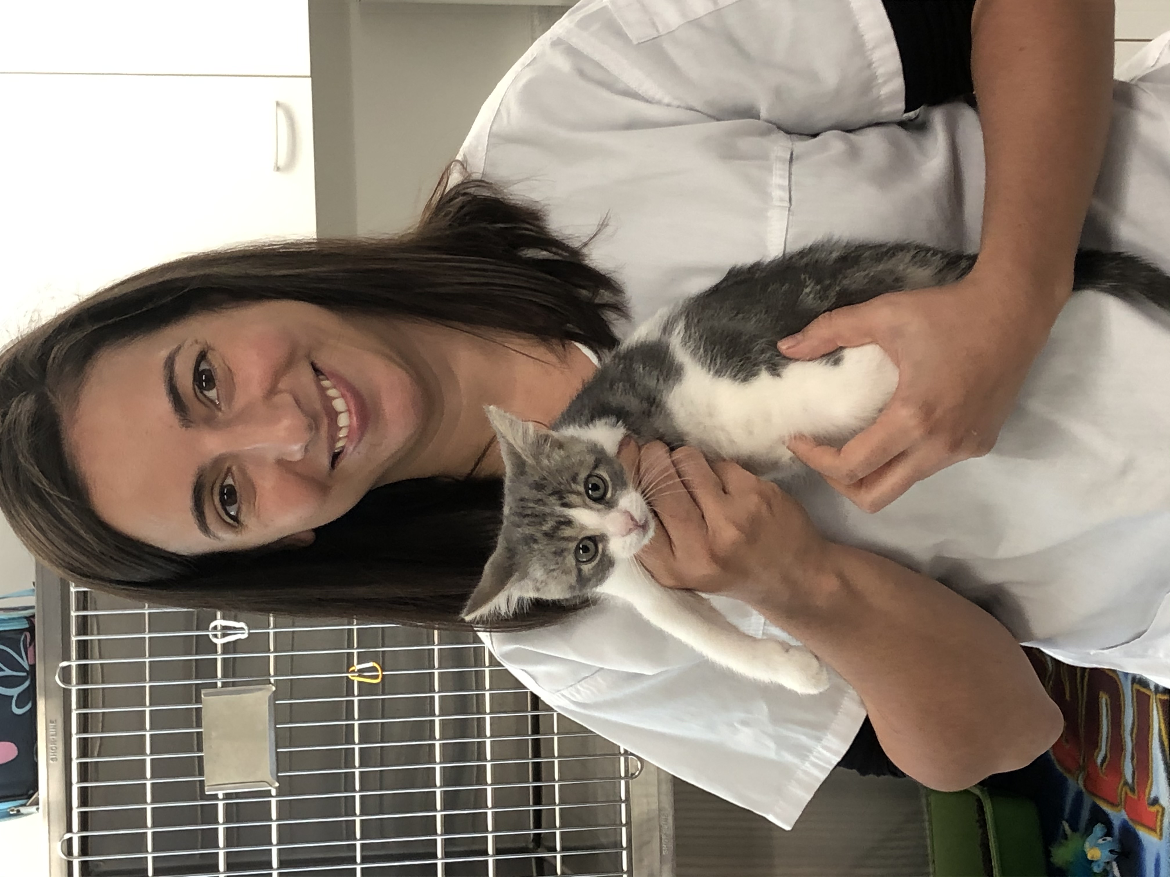 Soigner les animaux, une affaire de famille pour les Sauvé-Despots