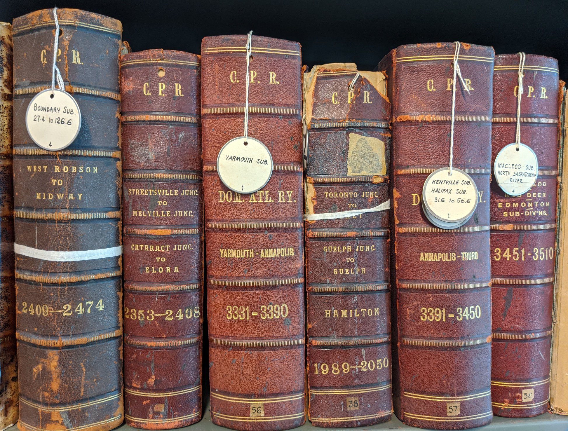 Trois conseils pour se protéger de la maladie de Lyme