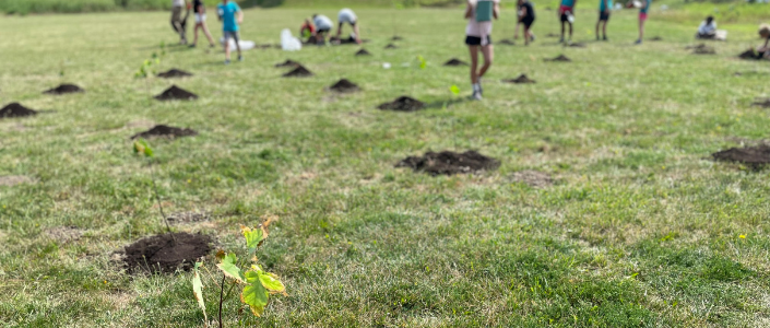 De l’étrange nourriture de canicule