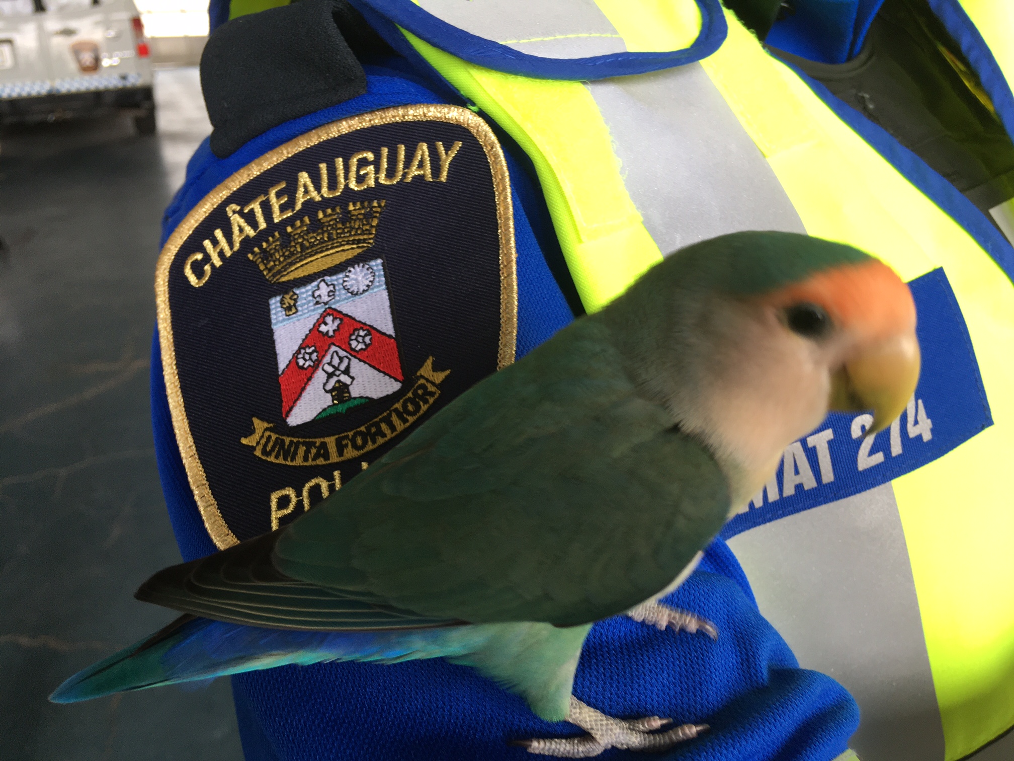 Qui a osé éteindre ma musique?