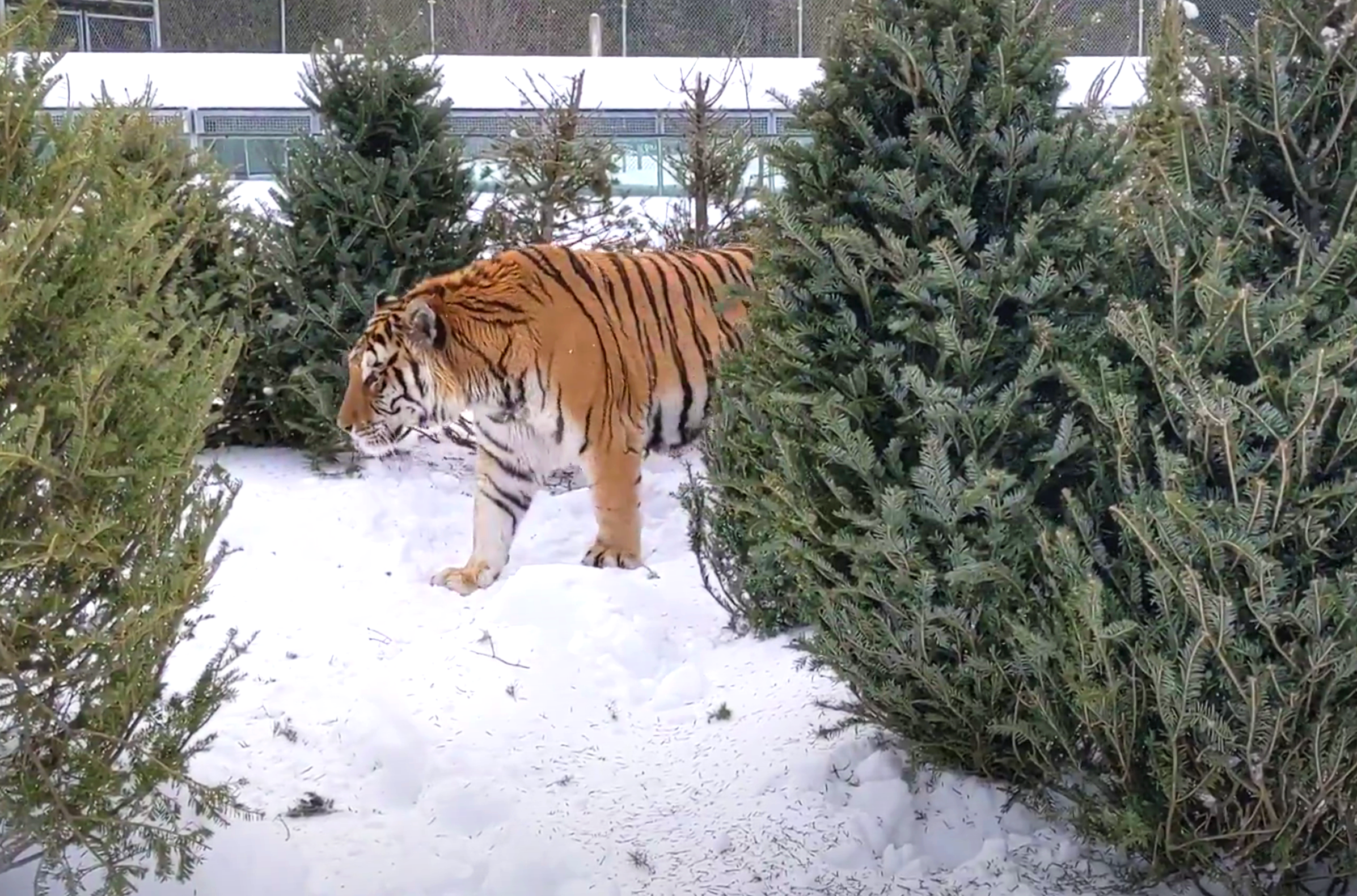 Meta fait un pas de plus vers la transparence et lance le Privacy Center pour Facebook