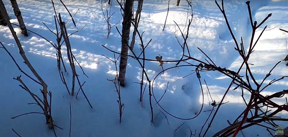 Voyez la première bande annonce de la série: Le Seigneur des Anneaux: Les Anneaux de pouvoir