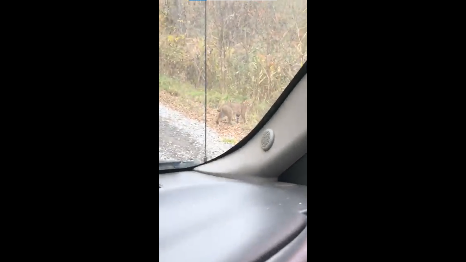 Image illustrant l'article