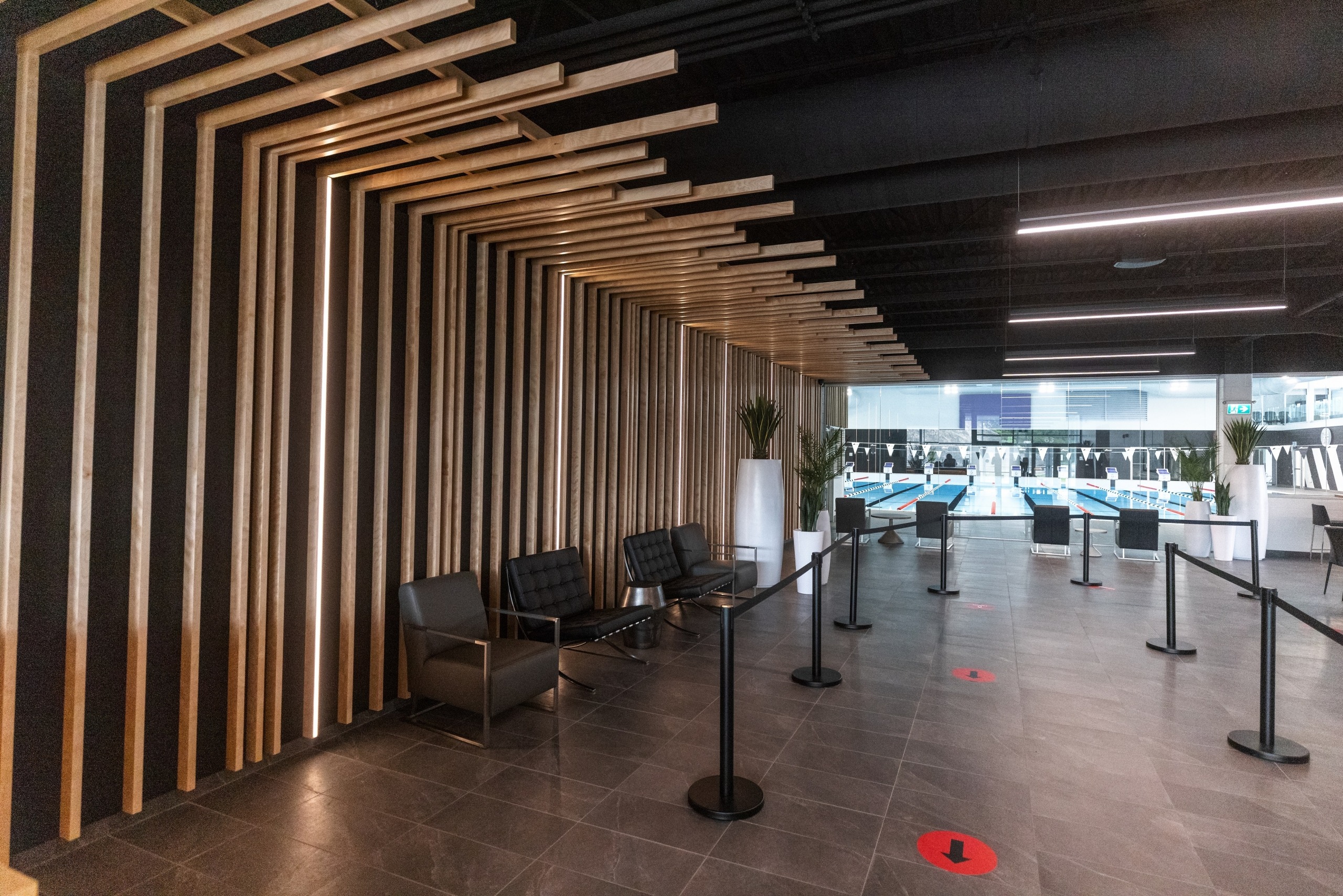 Une baleine curieuse