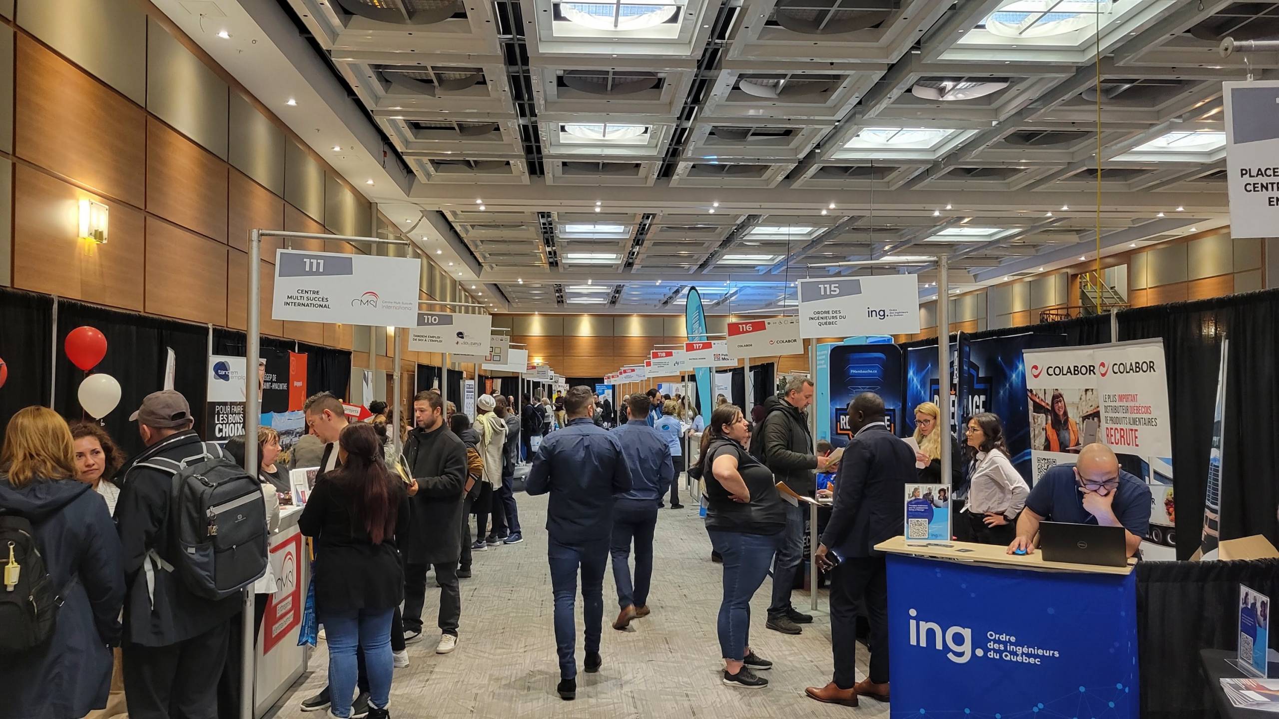 Un chien qui économise son énergie