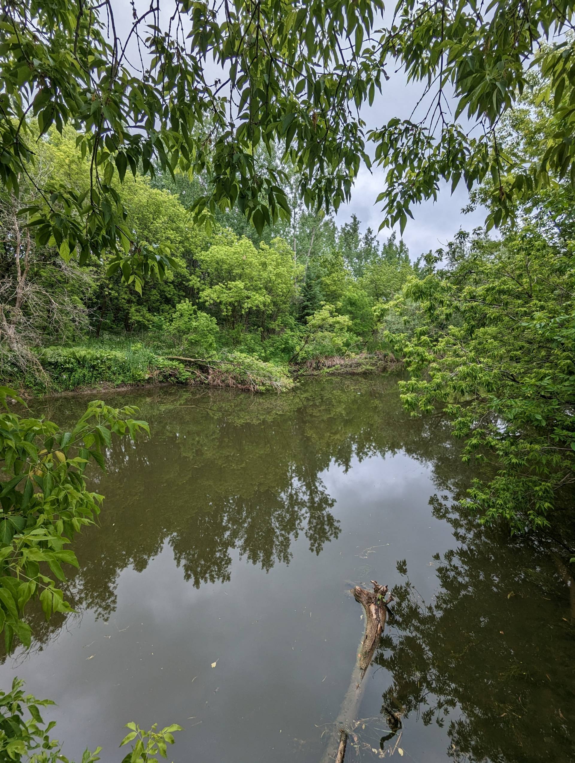 Image illustrant l'article