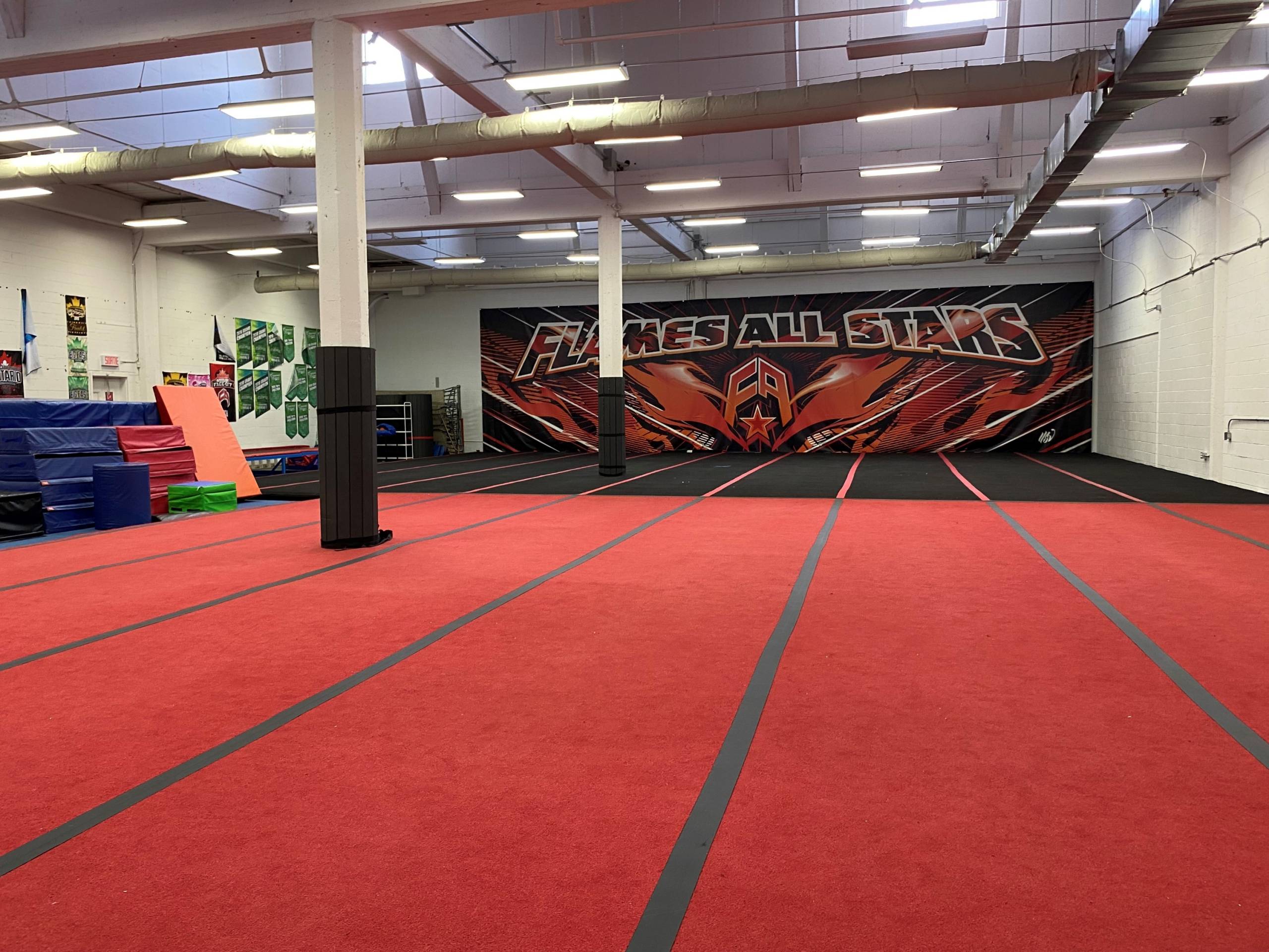 Rien besoin de plus que d’un petit os en plastique!