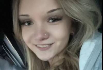 Chats vs Sapins de Noël : une bataille épique en vidéo!