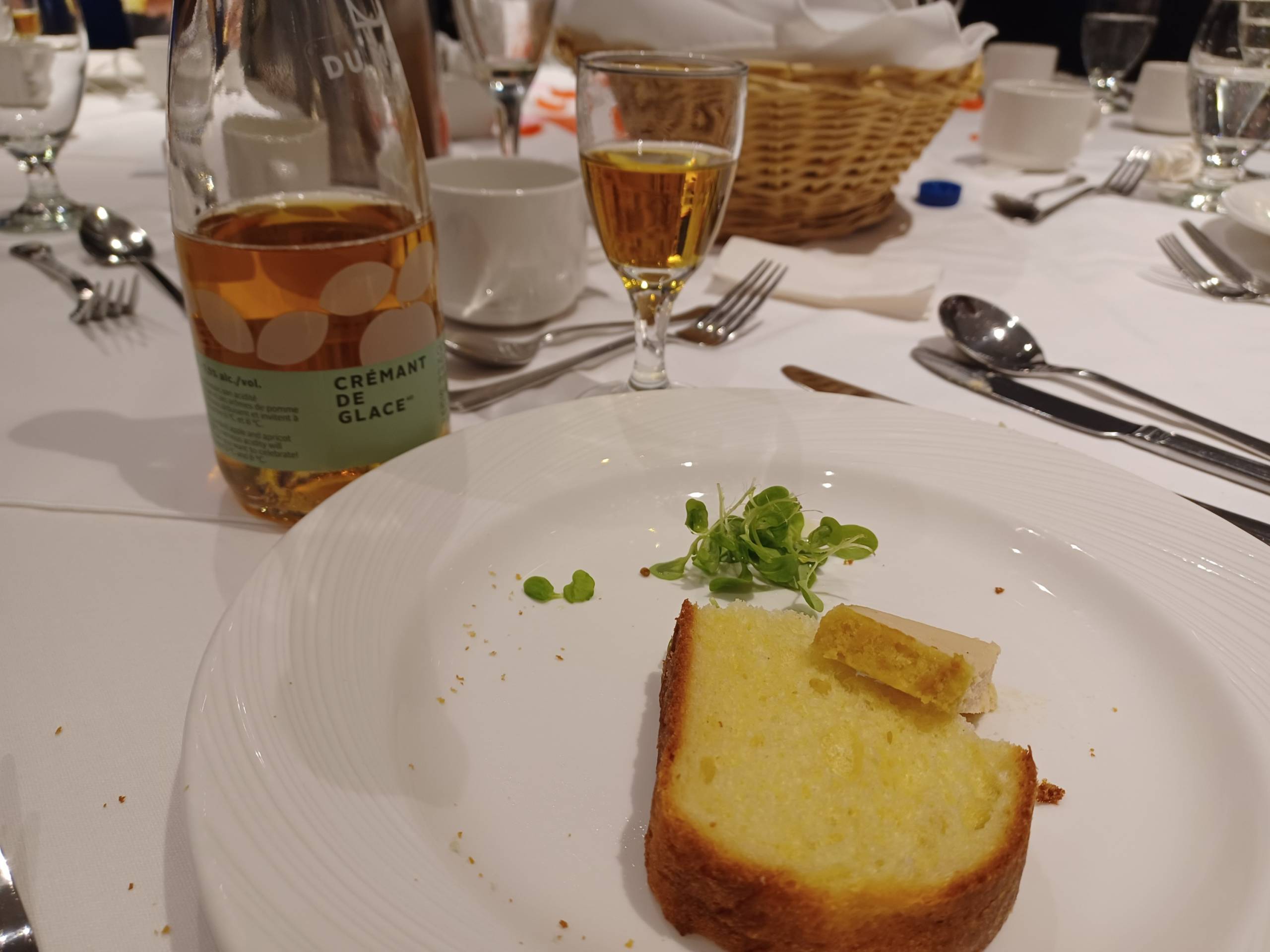 Le chien le plus patient du monde