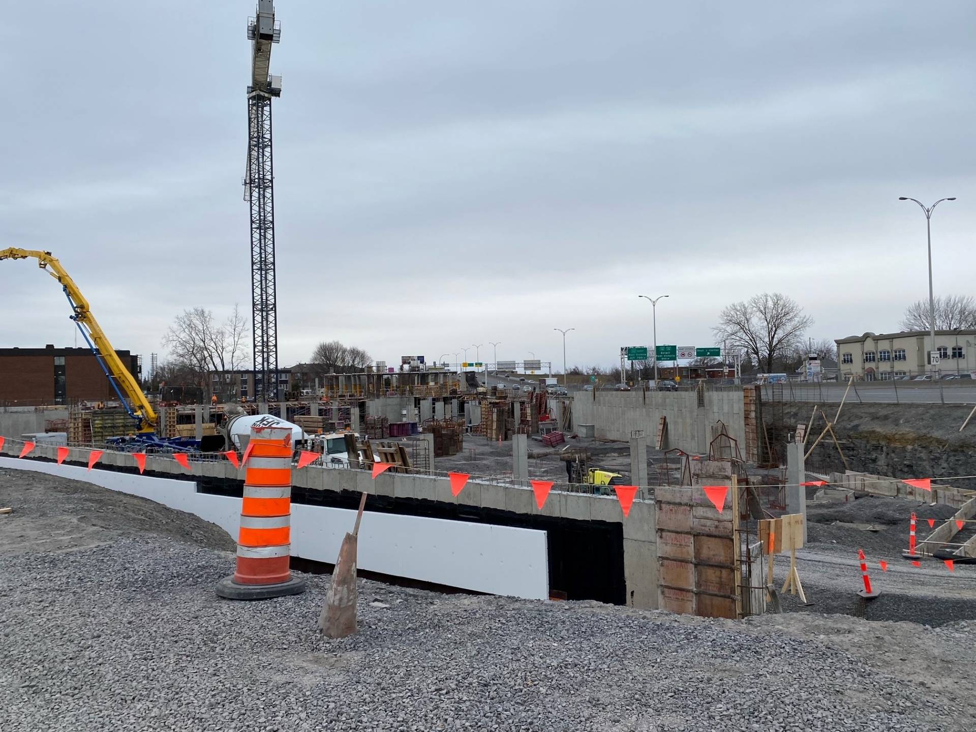 Le chien et le jouet parlant