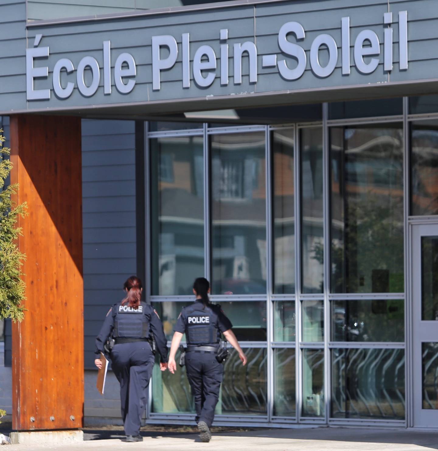 Recette de mimosa à la tangerine