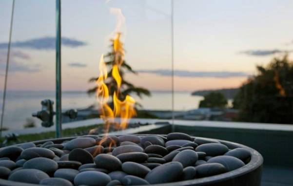 Quand le coyote part avec ta caméra