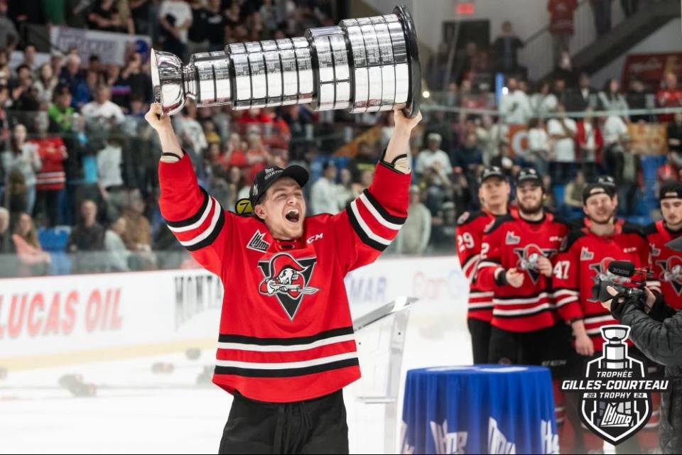 Ce chat veut prendre le crédit pour le ménage