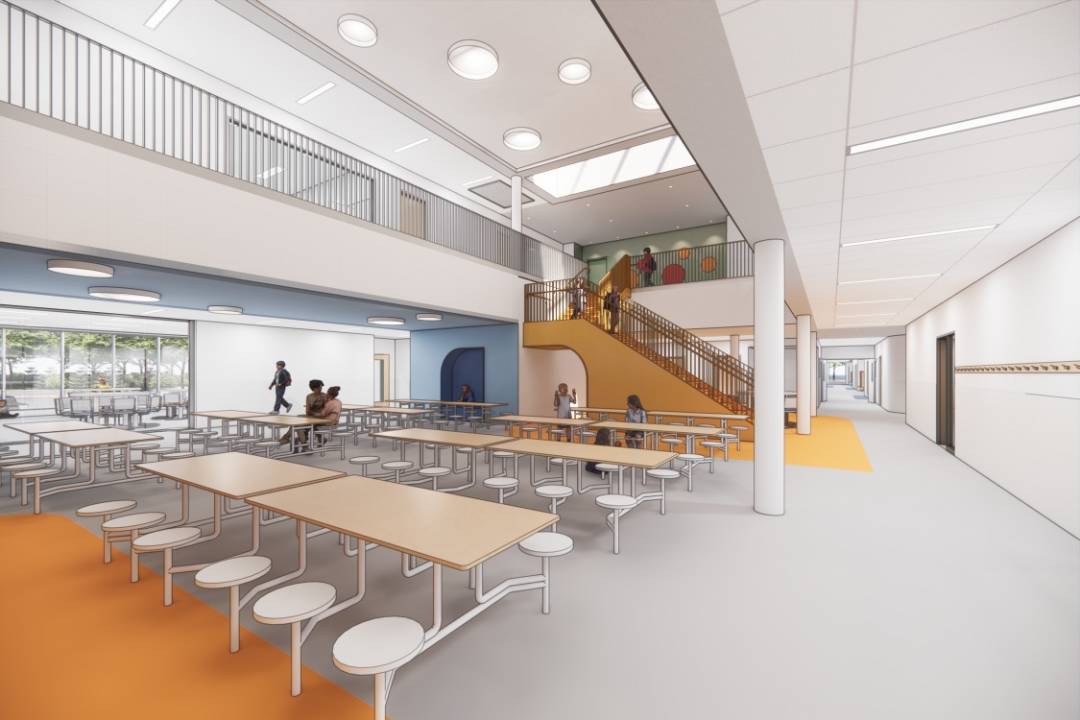 Des chèvres gourmandes se coincent la tête dans une mangeoire