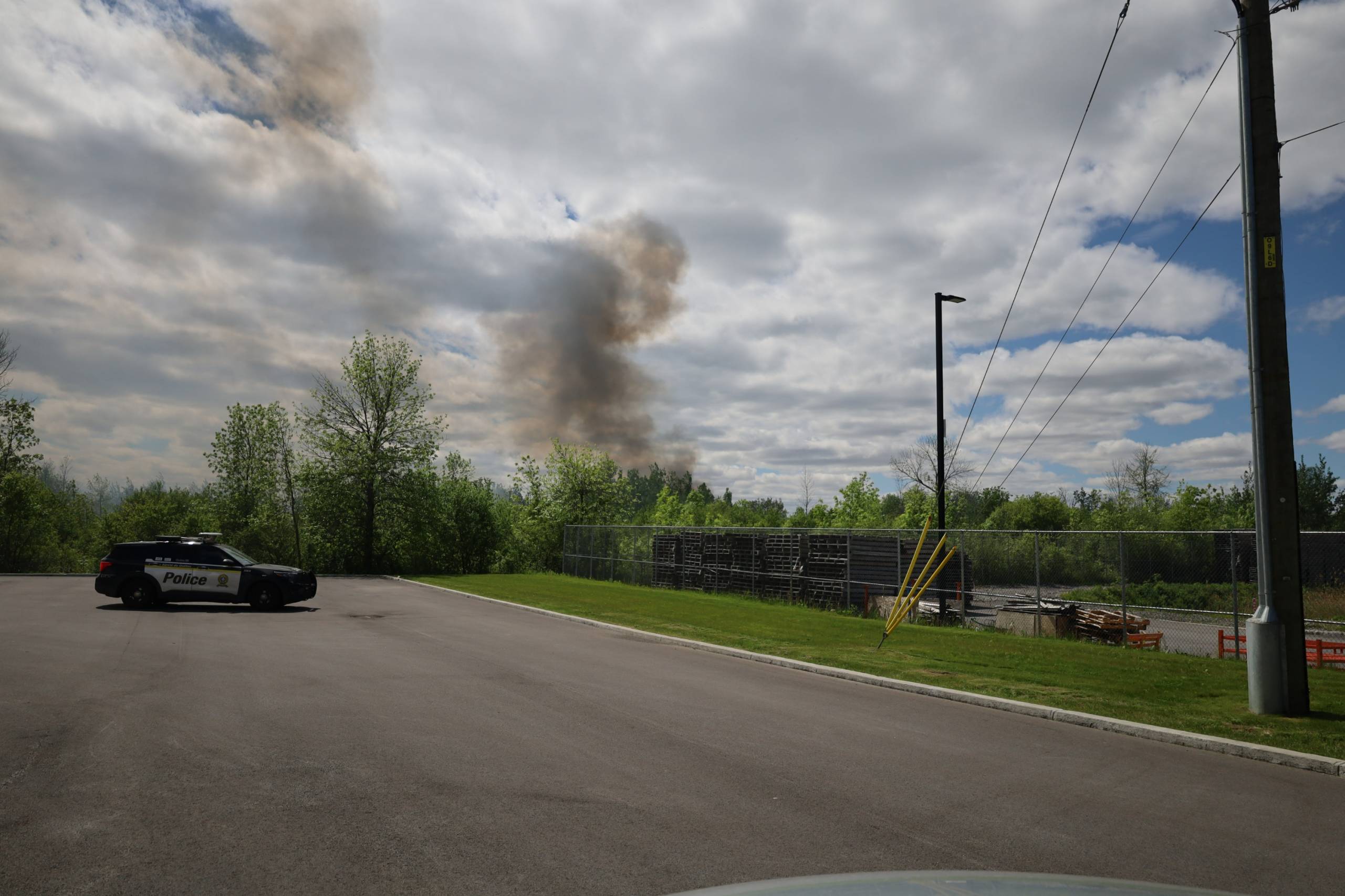 Boxer joue sur un tapis pour bébé