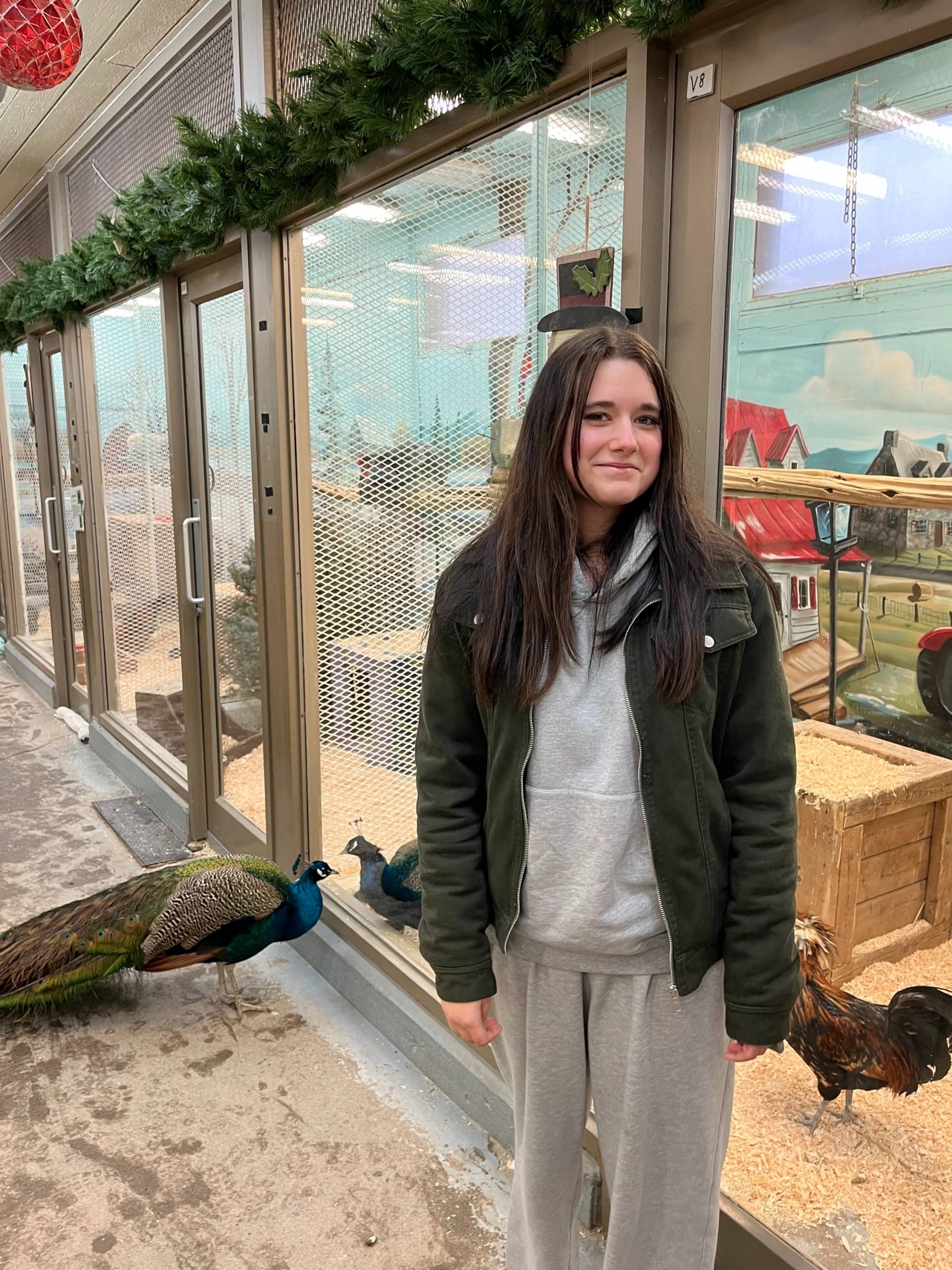 Constat amiable: Pour rapporter un accident d&rsquo;auto en ligne