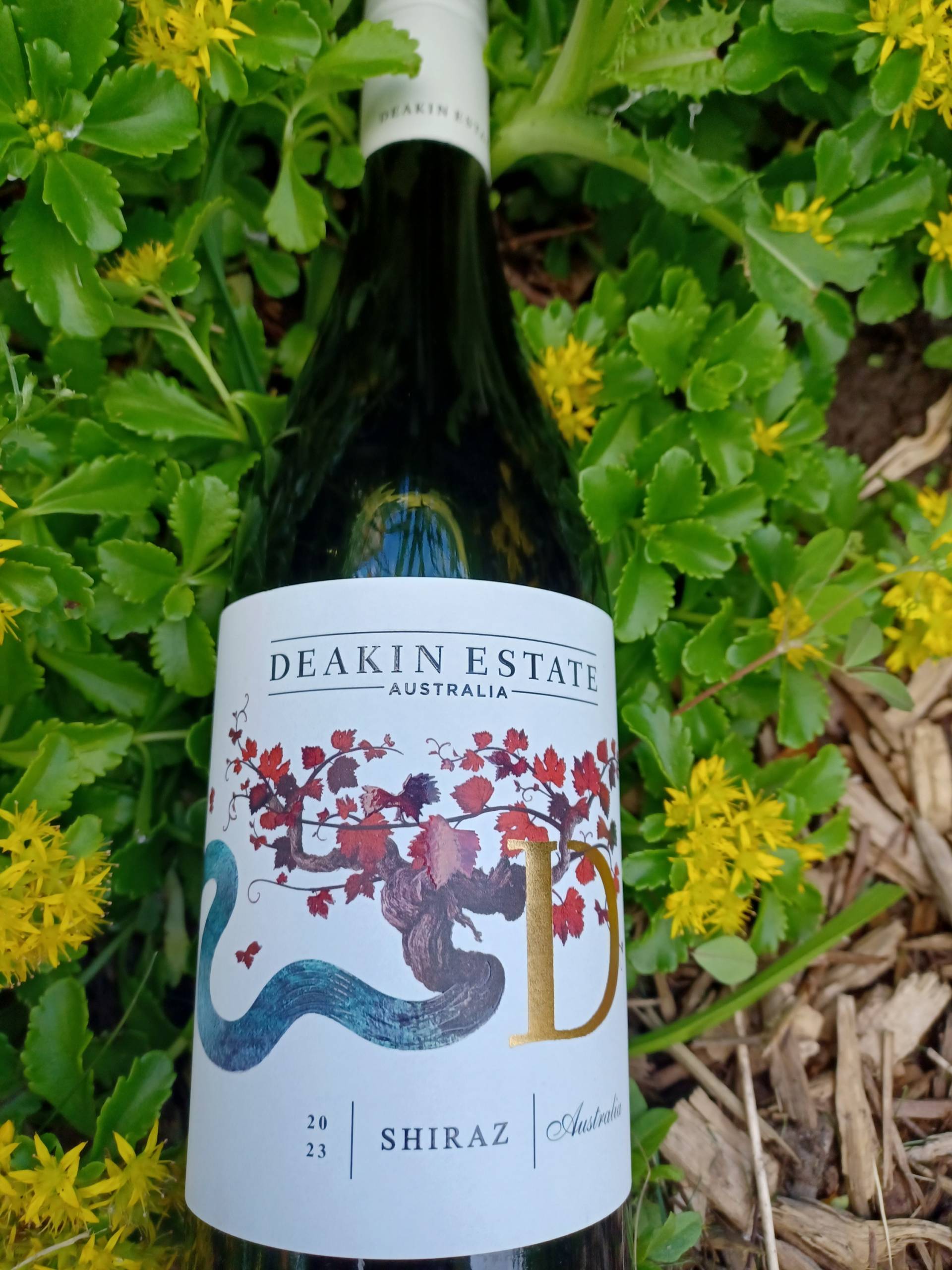 Vidéos deepfakes sur Facebook: de plus en plus réalistes