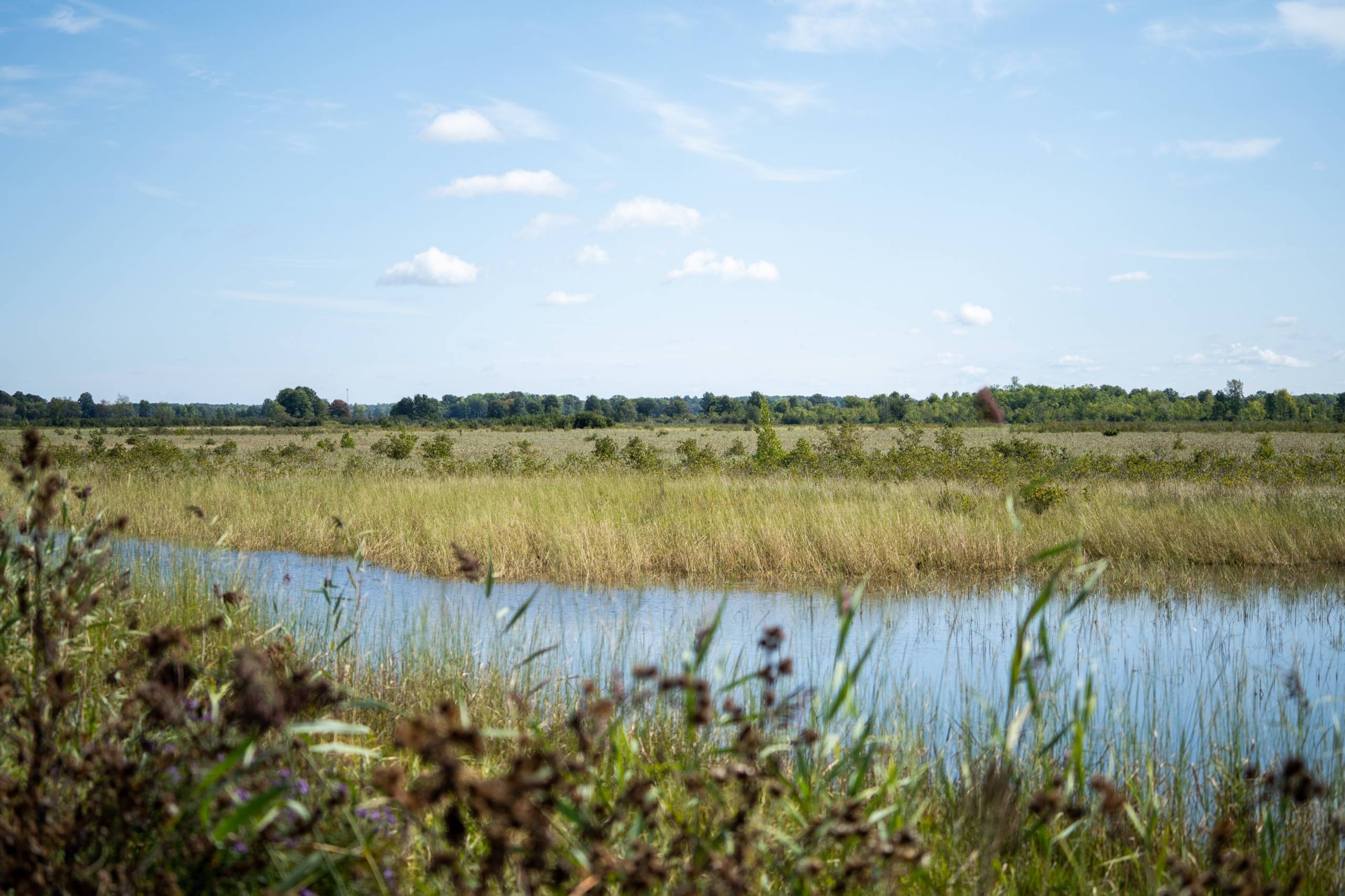 Comment surveiller sa cote de crédit sur Desjardins