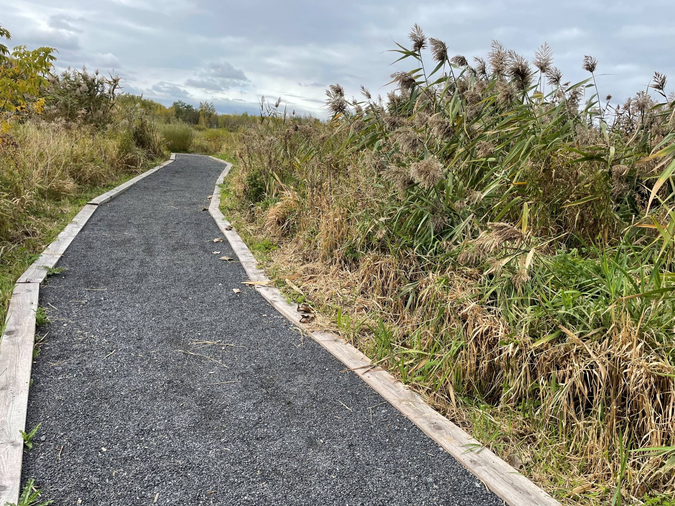 VIDÉO – Un dernier tour de piste pour le duo Blain – Demers