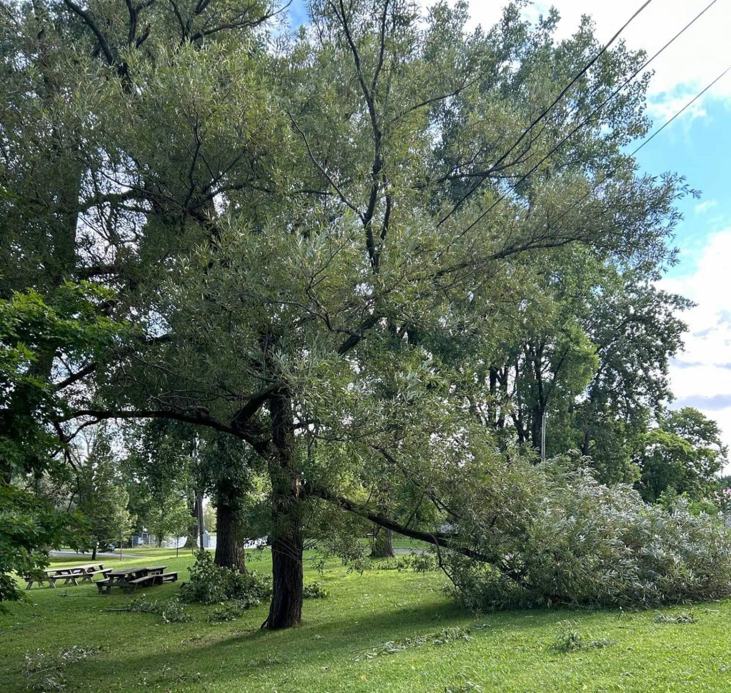 Image illustrant l'article