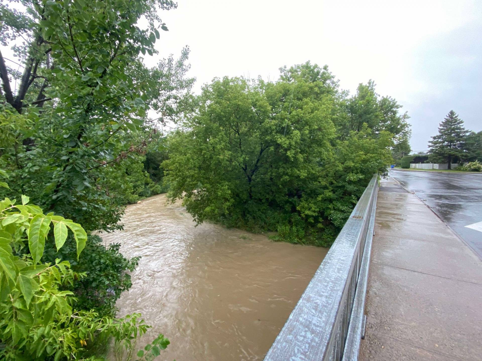 La photo un peu gâché!
