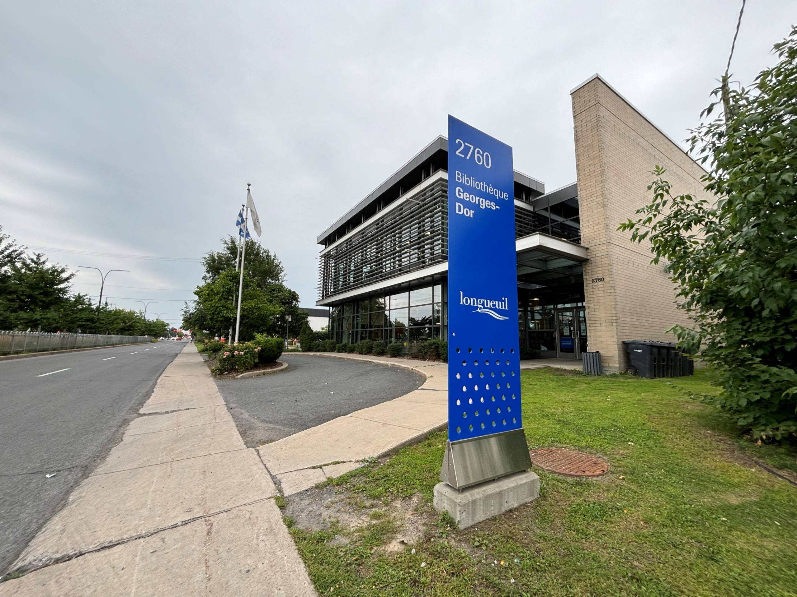 Un chien adore nager dans la mer