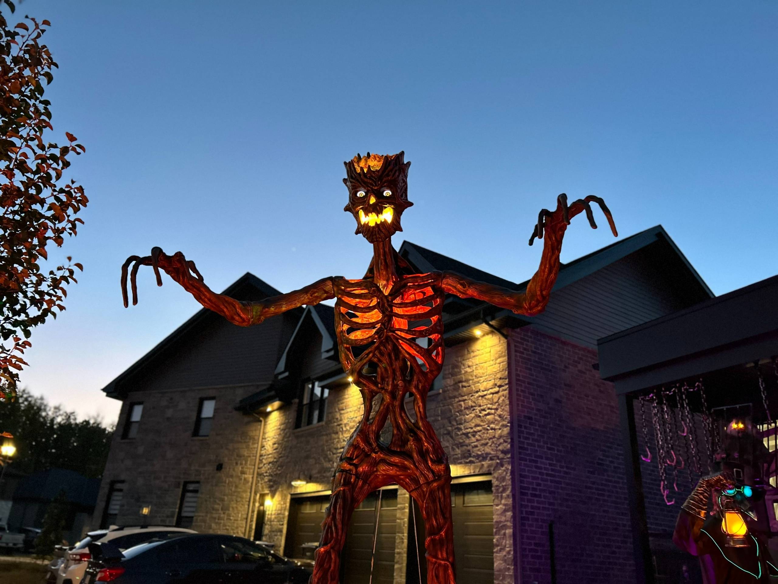 Image illustrant l'article