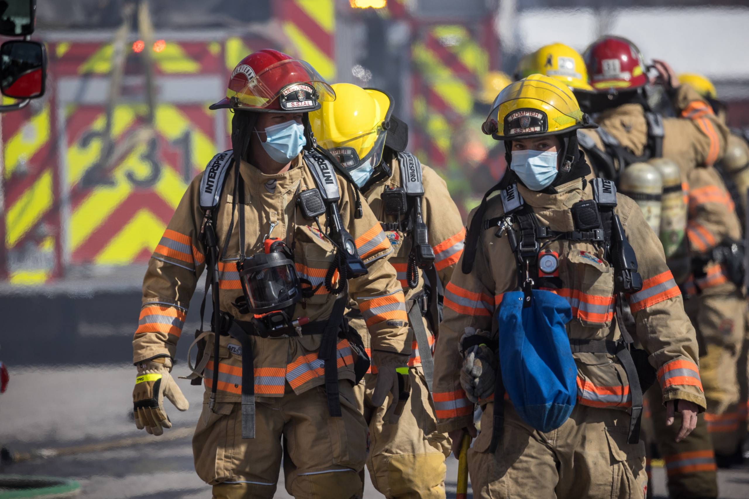 Petite balade en traineau