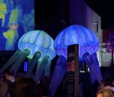 L&rsquo;événement Lumix finaliste aux prix Ovation municipale