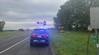 Arrêté après avoir tenté de fuir les policiers