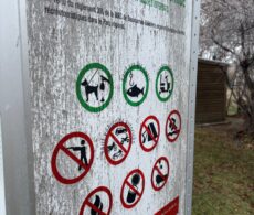 Des craintes reliées à la chasse illégale