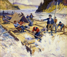 L’épopée des cageux racontée par un expert