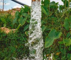 Hinchinbrooke: un projet d’usine d’eau potable suscite des craintes