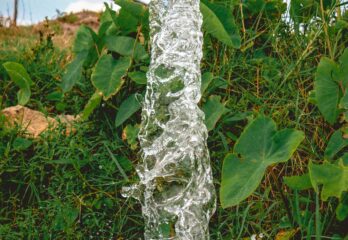 Hinchinbrooke accorde un permis pour une usine d’embouteillage d’eau