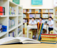 Journées de la persévérance scolaire de Vaudreuil-Soulanges : lancement du mouvement #perséVERTVS