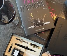 Avec Noir d’Encre on retrouve la romance spicy de Julie Laplante