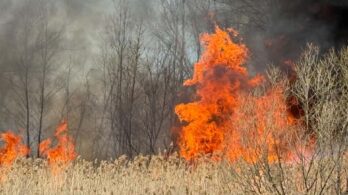 Incendie de champ maîtrisé près de l’autoroute 30