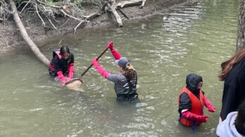 Quelque 125 élèves ont participé à l’activité J’adopte un cours d’eau