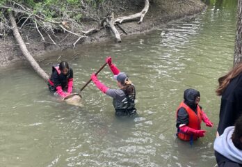 Quelque 125 élèves ont participé à l’activité J’adopte un cours d’eau