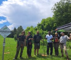 Plantation d&rsquo;arbres ambitieuse à Sainte-Barbe