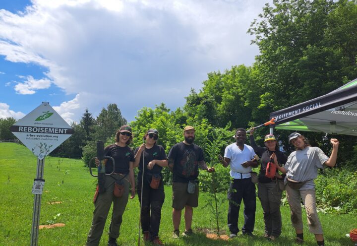 Plantation d&rsquo;arbres ambitieuse à Sainte-Barbe