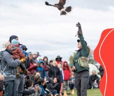 Une 10e Semaine de la biodiversité à Salaberry-de-Valleyfield